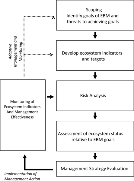 Schematic of Integrated Ecosystem assessment, linking the follosign components: Monitorign, Identyifying goals, developing indicators, Risk Analysis, Assessmsent of EBM status relative to goals, and Management Strategy Evaluation.