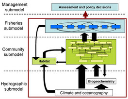 Schematic diagram of Atlantis, showing linked boxes that represent oceanographic submodel, ecology submodel, and fisheries/managment submodel